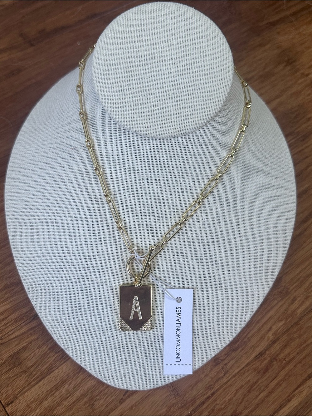 NWT Uncommon James Anthropologie Gold Paperclip Toggle Necklace Letter “A” Pave